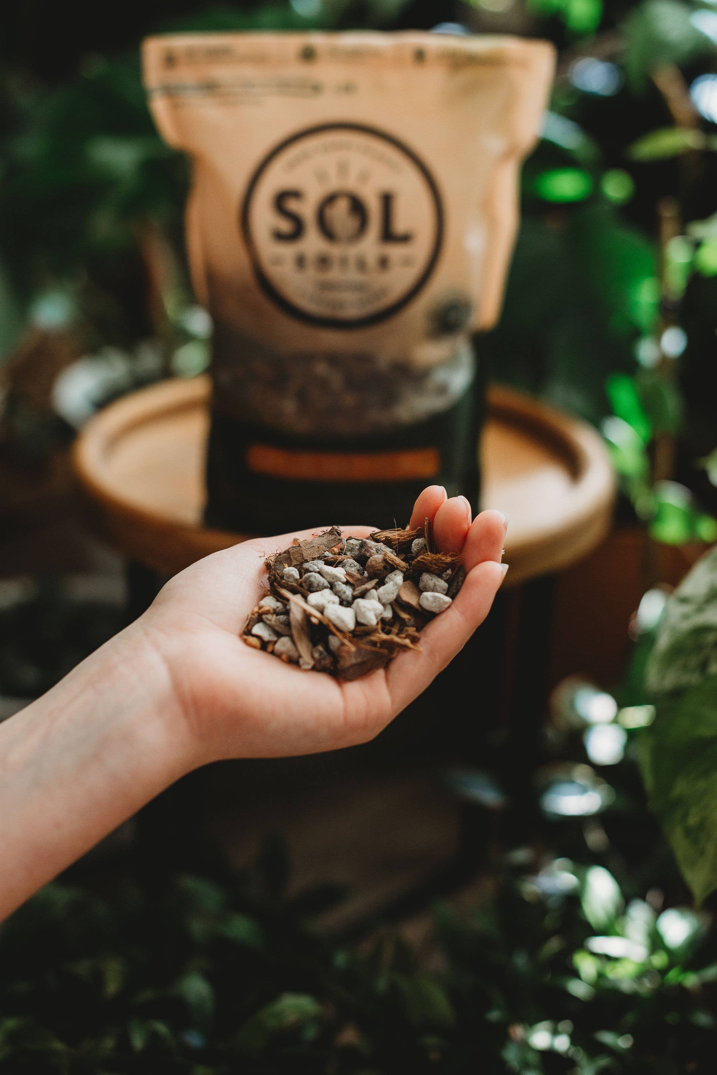 Sol Soils Cactus Gritty Mix 2 Qt – Fast-Draining Cactus & Succulent Soil