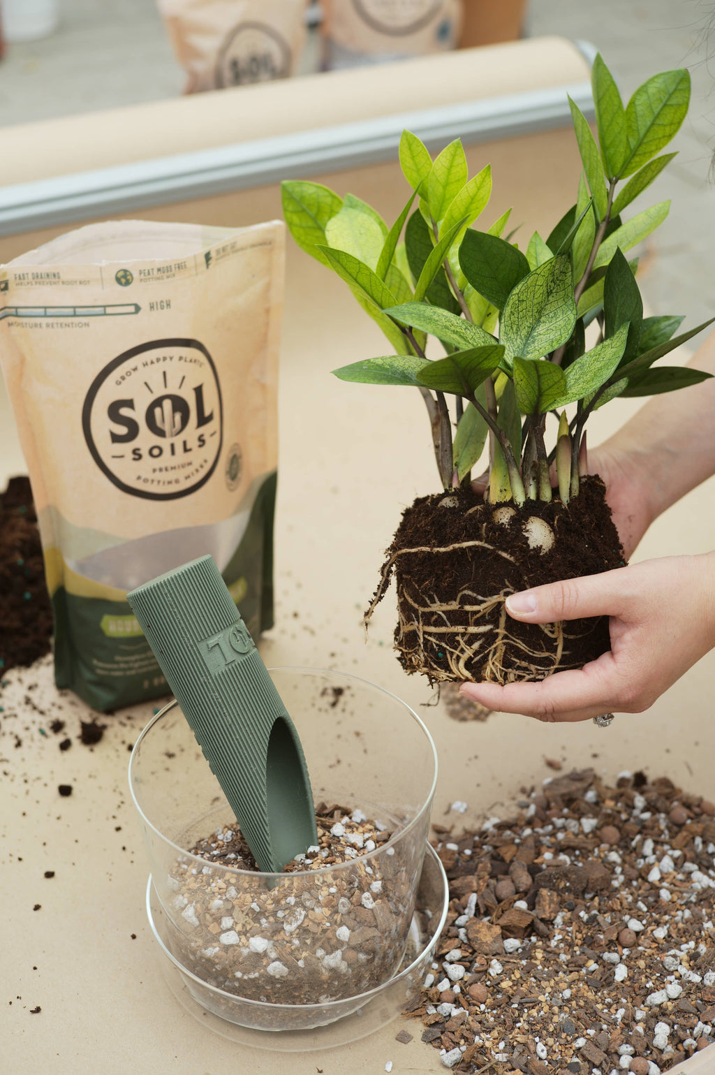 Sol Soils Houseplant Chunky Mix 2 Qt – Fast-Draining Aroid & Tropical Potting Soil