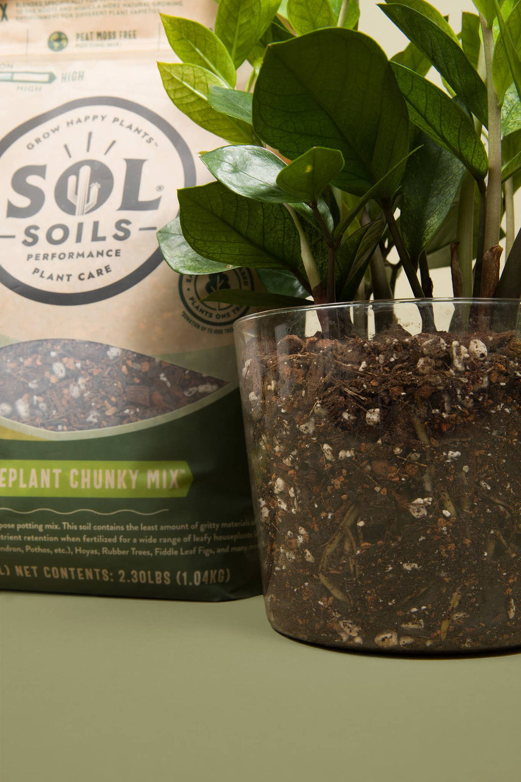 Sol Soils Houseplant Chunky Mix 2 Qt – Fast-Draining Aroid & Tropical Potting Soil