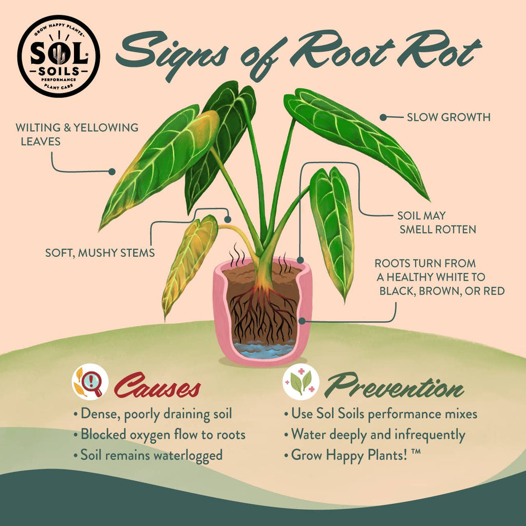Sol Soils Cactus Gritty Mix 2 Qt – Fast-Draining Cactus & Succulent Soil