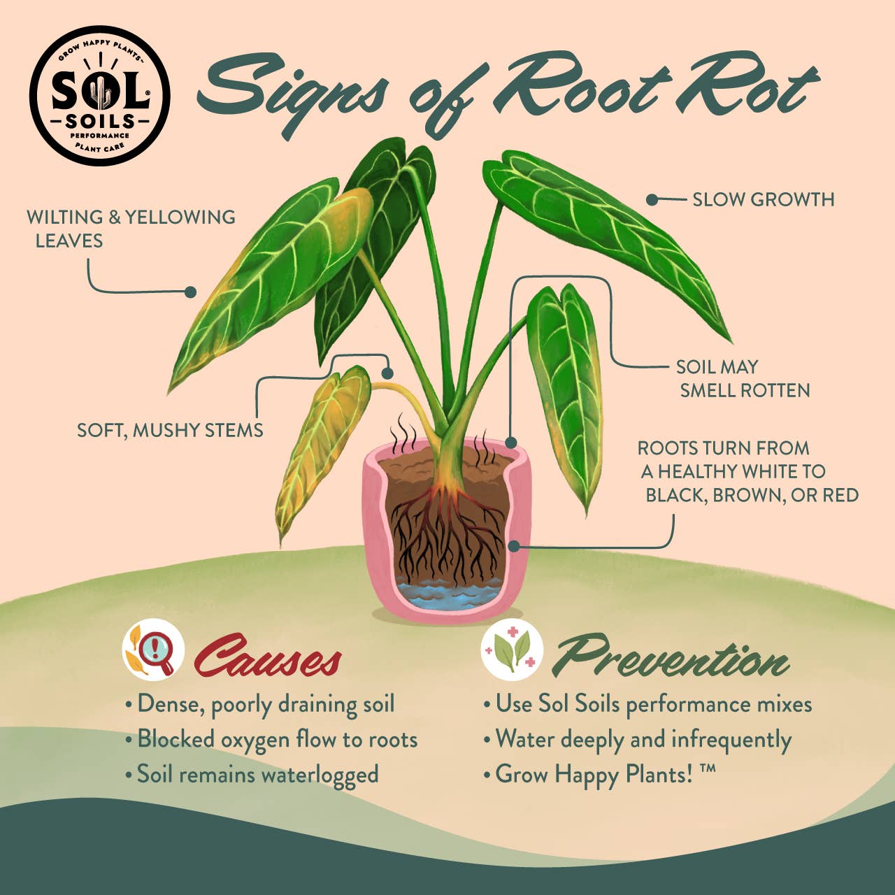 Sol Soils Houseplant Chunky Mix 2 Qt – Fast-Draining Aroid & Tropical Potting Soil