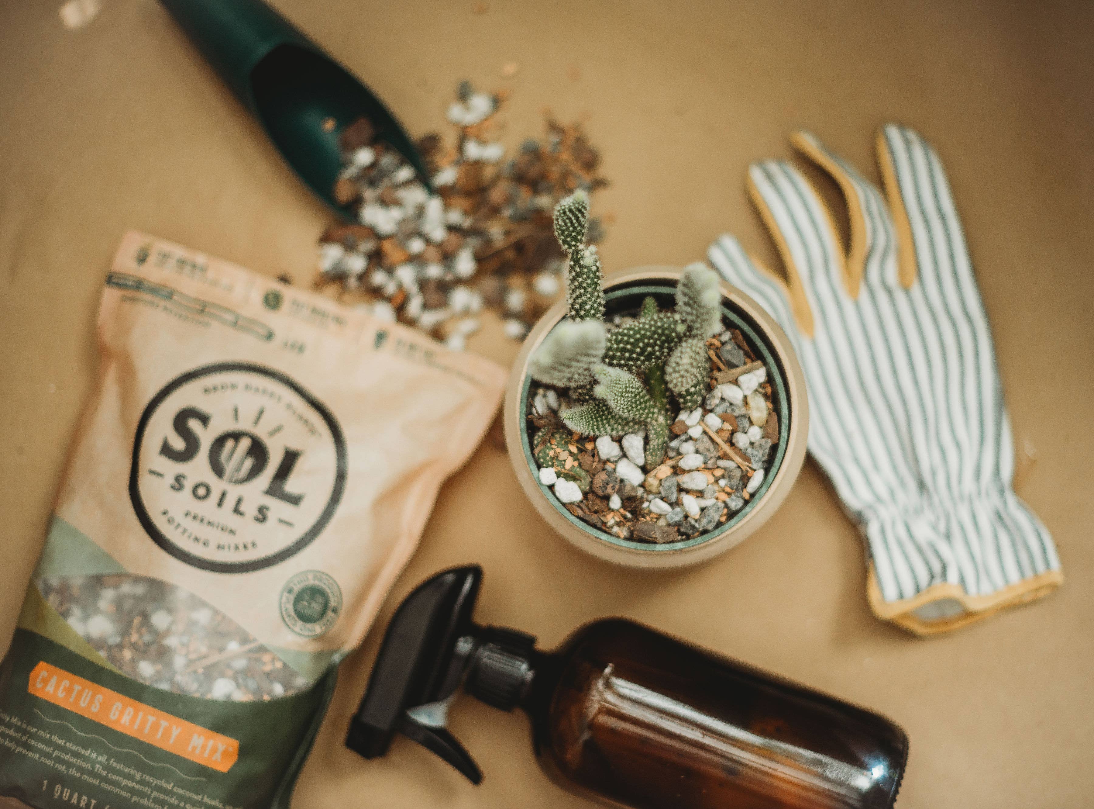 Sol Soils Cactus Gritty Mix 2 Qt – Fast-Draining Cactus & Succulent Soil