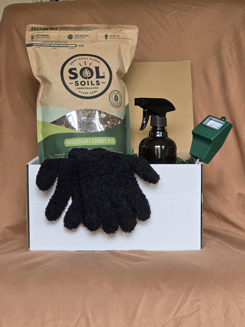 Houseplant care starter kit contents arranged in open gift box