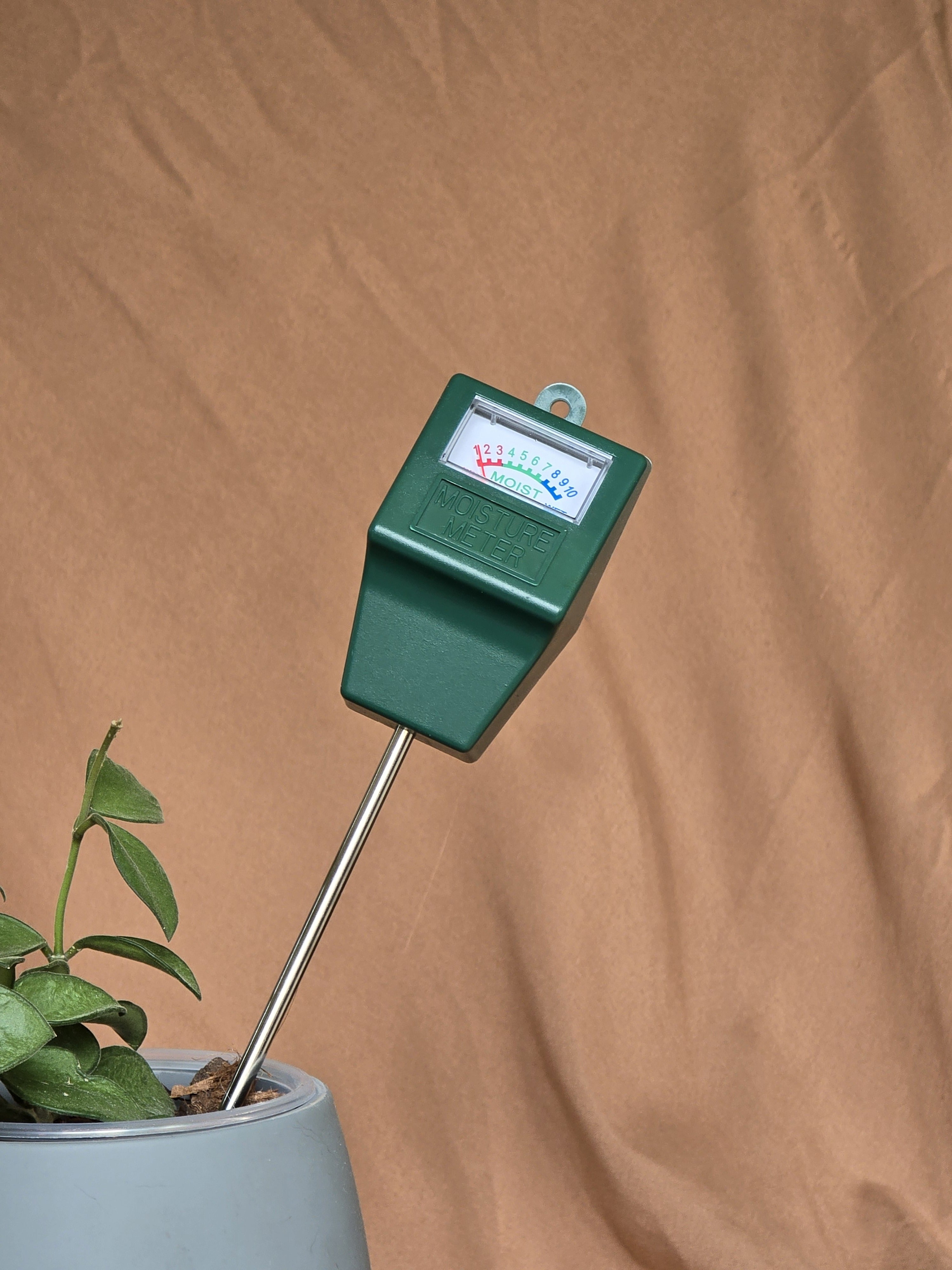 Soil moisture meter probe inserted into a potted houseplant